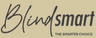 BlindSmart logo